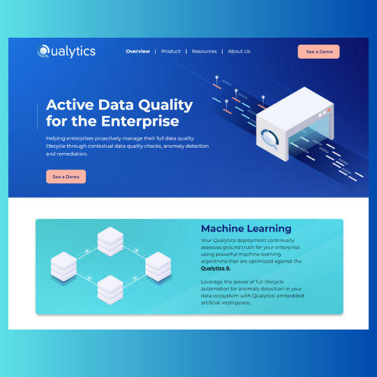 qualytics